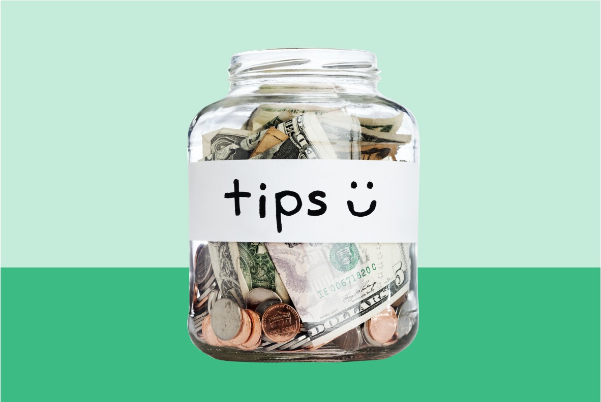 Deal of the Day Succulent Garden in Norfolk VA The Sunflower Florist